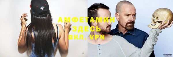 ECSTASY Алзамай
