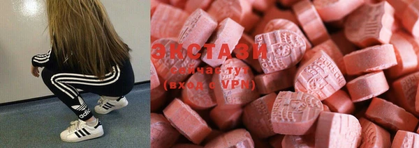 ECSTASY Алзамай