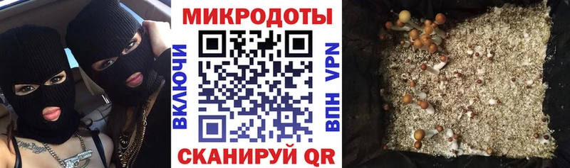 Псилоцибиновые грибы ЛСД  Куса 